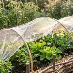 Protéger son potager des nuisibles : insectes, rongeurs et autres envahisseurs