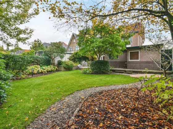 Drainage d&rsquo;un jardin : comment évacuer efficacement les eaux de pluie d&rsquo;un terrain ?